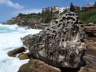 Apparently the ocean spit this out during a storm in...