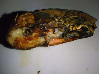 Morton's Bay Bug: first new animal eaten in a long time....