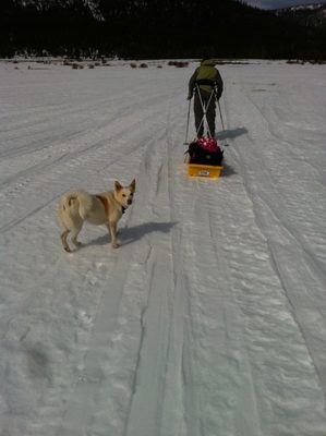 Forgot to mention Lumi came along too.