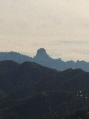 Baboquivari Peak in the distance. One of the few...