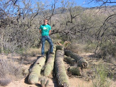 John on top of a fallen saguaro.