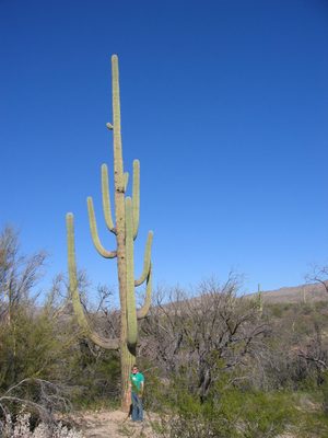 John, next to a really tall saguaro.