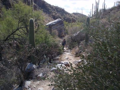Mel coming up the trail.