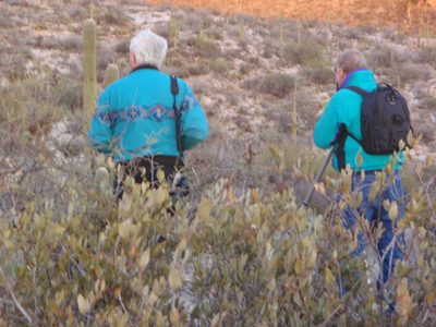 When we got near the trailhead, we found countless...