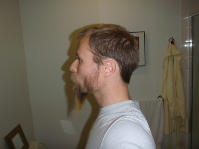 Beard Deconstruction Project: Phase 1.
