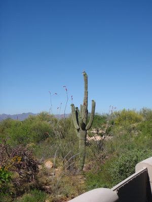Zoomed out view to the west.