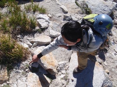 Pointing out a plant that smelled very strongly of mint.