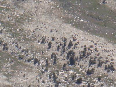 ... and zoomed in even more. I swear our camp is just to...
