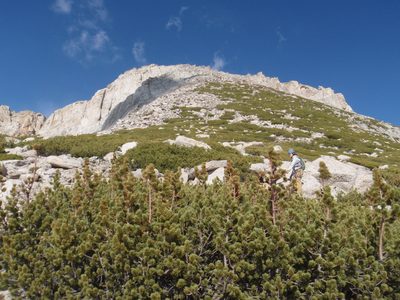 The scree/talus/bush field we just descended.