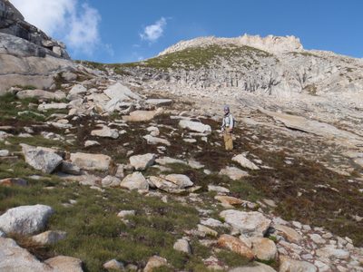 Back on somewhat more friendly terrain.
