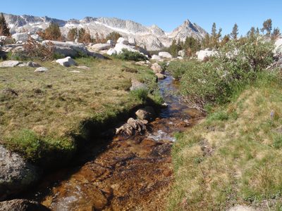 I love alpine streams and meadows.