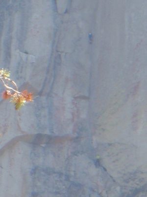 Closeup of climbers on OZ.