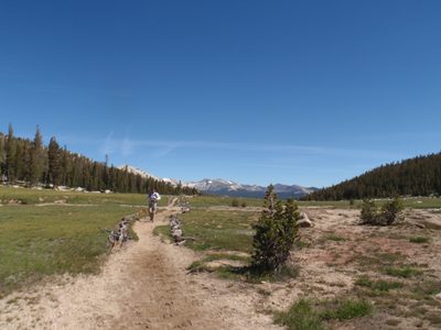 Hiking towards Tuolumne Pass. Mt Dana barely visible in...