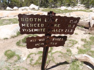 At Tuolumne Pass.