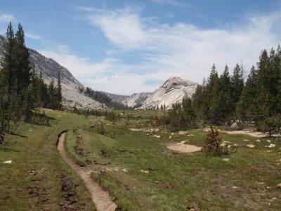 Into a meadow along Fletcher Creek. I particularly liked...