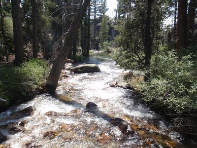 Lewis Creek, before joining with the mighty Fletcher.