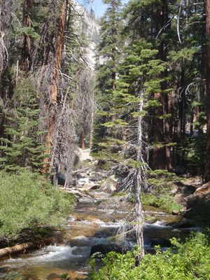 Looking upstream on Lewis Creek.