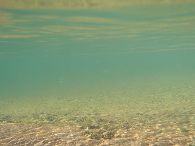 There is a trout somewhere in here. The Merced River.