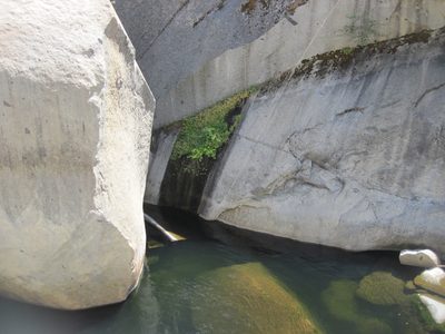 Some pretty hanging gardens near this first rappel.
