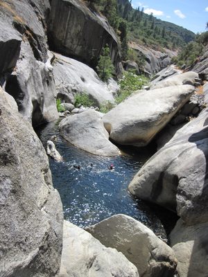 Folks swimming in the pool.