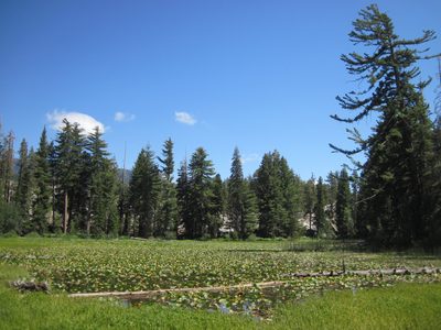 Pretty swamp in the middle of nowhere... maybe twenty...