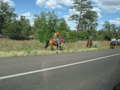 We drove through the Navajo reservation (very close to...