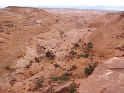 The canyon we decided to descend into. In retrospect I'm...