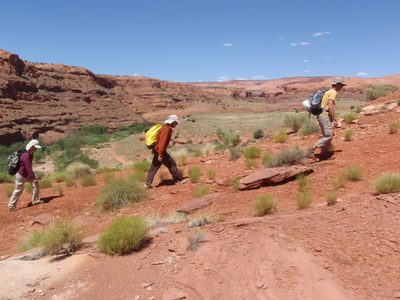 Trudging uphill in the hot sun. No shade anywhere....