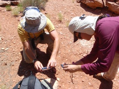 Andy and Turtle find a stick bug. You know, one of those...