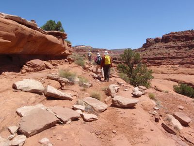 Andy, Turtle and Joel hiking up river.
