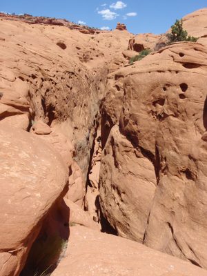 It's deep! We were initially apprehensive our rope...