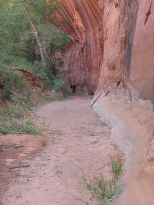 At this point, we had decided to bail on Choprock Canyon...