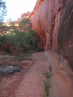 Beautiful morning sunlight in Lower Neon Canyon.