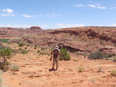 Hiking back up onto the Egypt Bench at high noon. It was...