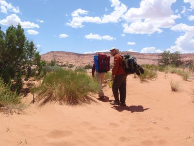 Hiking up to the Egypt Bench. Joel and Turtle.