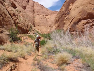 Leaving the narrows of Boss Hog Canyon.