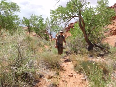 The last part of our hike ended up being in the desert heat.