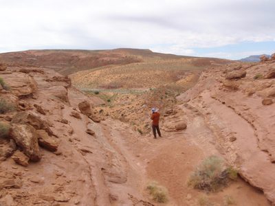 Joel observes the world below. The road is where our car is.