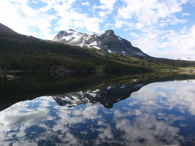 Ellery Lake in the morning.