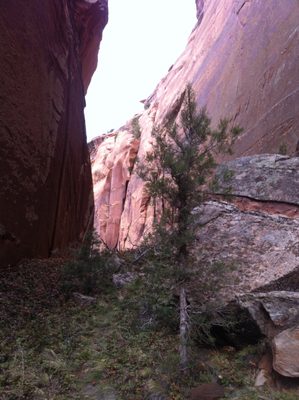 Separation between Fallen Rock (more like a tower) and...