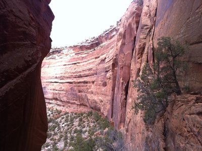 Climb over this way called 99 Feet Of Joy.