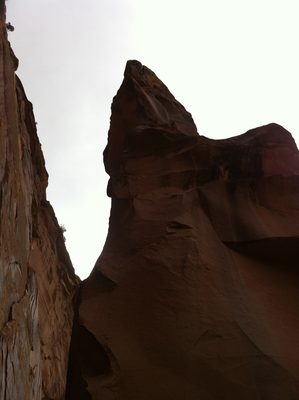 Fallen Rock.
