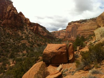 Sun starts to come out on our hike.