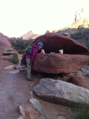 It's a snake! On the hike out from Colorado National Monument.