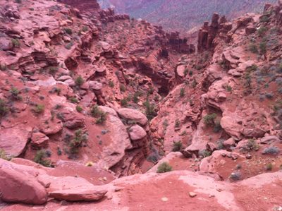 Looking down a canyon near Fisher Towers.