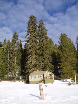 Little house, big trees.