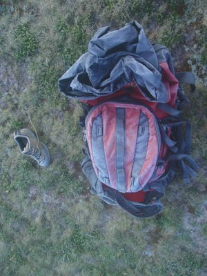 There was a surprising amount of frost on everything I...