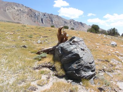 A picturesque rock and stump near Parker Lake.