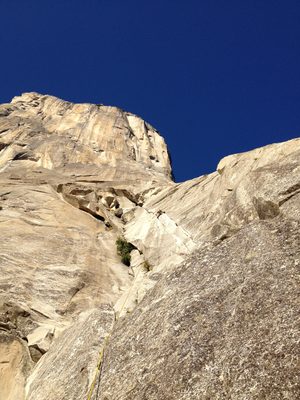 Ian, also on Salathe Wall, pitch 1. If you zoom in, you...