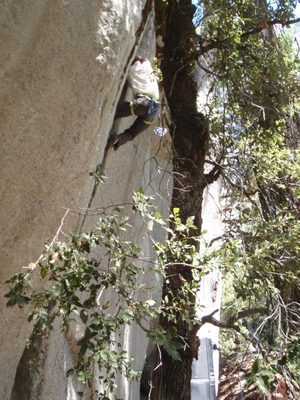 This steep, overhanging crack required any number of...